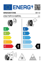 Bridgestone Blizzak DM-V2 235/75 R15 109R XL