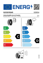 GOODYEAR 255/50R19 107H EAGLE LS-2 * XL ROF FP